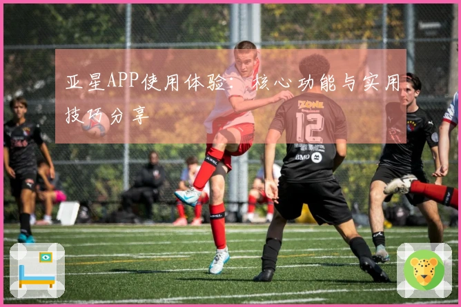 亚星APP使用体验：核心功能与实用技巧分享