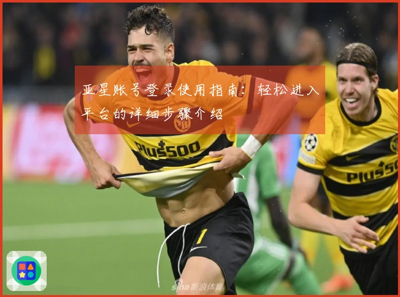 亚星账号登录使用指南：轻松进入平台的详细步骤介绍
