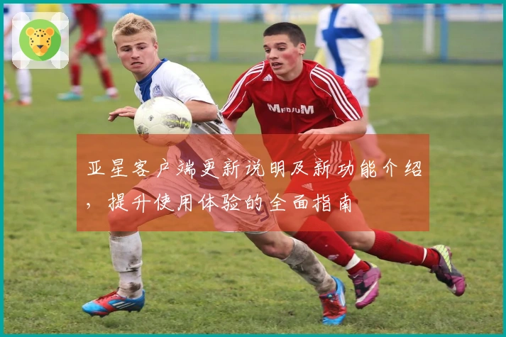 亚星客户端更新说明及新功能介绍，提升使用体验的全面指南