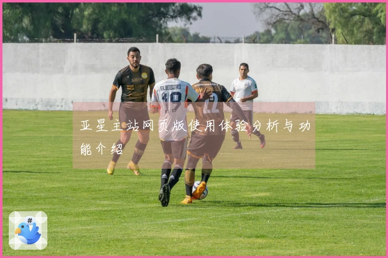 亚星主站网页版使用体验分析与功能介绍