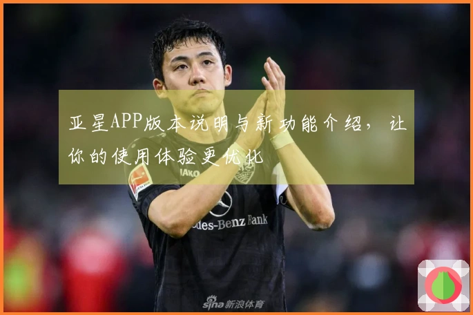 亚星APP版本说明与新功能介绍，让你的使用体验更优化